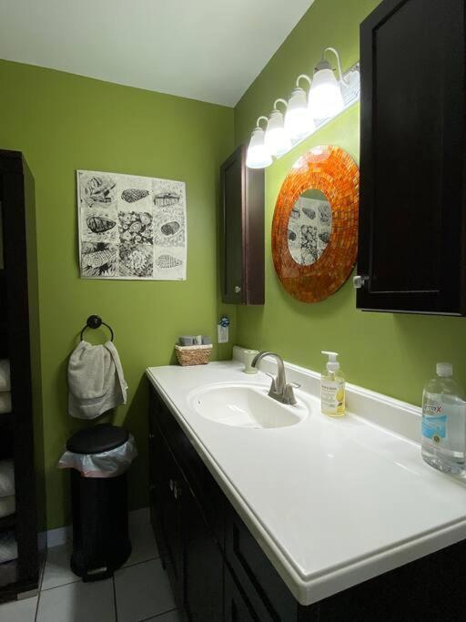 One Bed Suite Near Beaches And Downtown 萨拉索塔 外观 照片